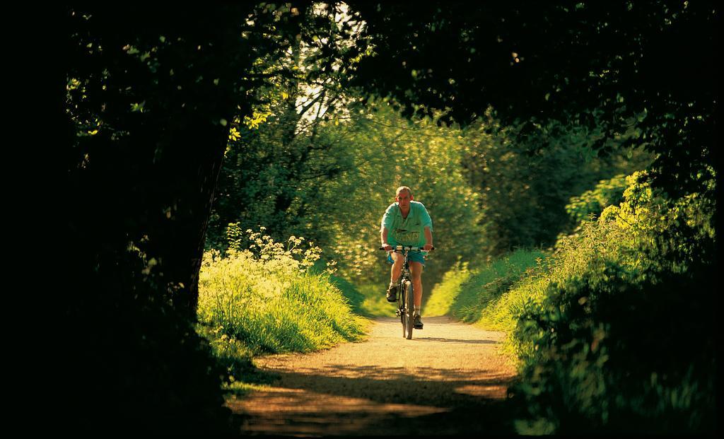 Troy Self Catering Village Limerick Ireland Exteriör bild